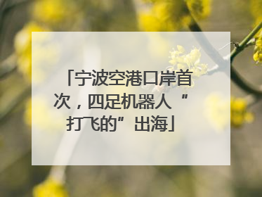 宁波空港口岸首次，四足机器人“打飞的”出海