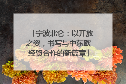 宁波北仑：以开放之姿，书写与中东欧经贸合作的新篇章