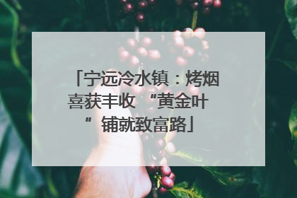 宁远冷水镇：烤烟喜获丰收 “黄金叶”铺就致富路