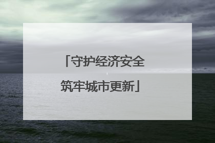 守护经济安全 筑牢城市更新