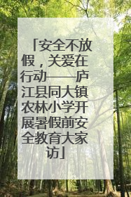安全不放假，关爱在行动——庐江县同大镇农林小学开展暑假前安全教育大家访