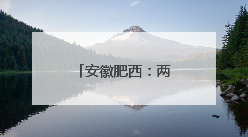 安徽肥西：两位上海人“链上”肥西的背后