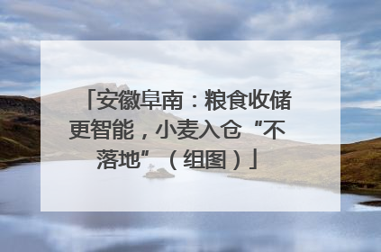 安徽阜南：粮食收储更智能，小麦入仓“不落地”（组图）