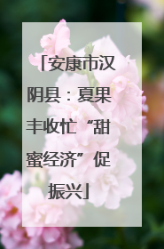 安康市汉阴县：夏果丰收忙“甜蜜经济”促振兴