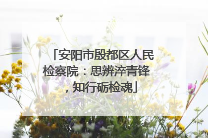 安阳市殷都区人民检察院：思辨淬青锋，知行砺检魂