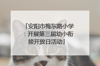 安阳市梅东路小学：开展第三届幼小衔接开放日活动