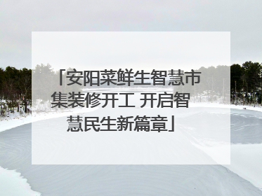 安阳菜鲜生智慧市集装修开工 开启智慧民生新篇章