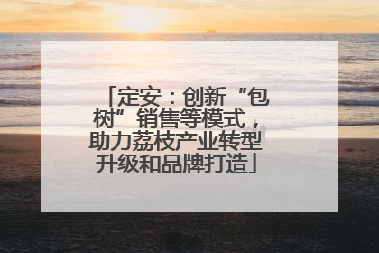 定安：创新“包树”销售等模式，助力荔枝产业转型升级和品牌打造