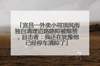 宜昌一外卖小哥顶风雨独自清理道路路障被爆赞，目击者：我还在犹豫他已经停车清障了