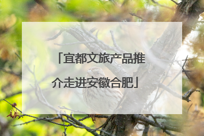 宜都文旅产品推介走进安徽合肥