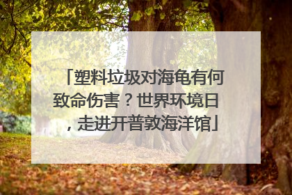 塑料垃圾对海龟有何致命伤害？世界环境日，走进开普敦海洋馆