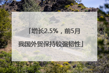 增长2.5%，前5月我国外贸保持较强韧性