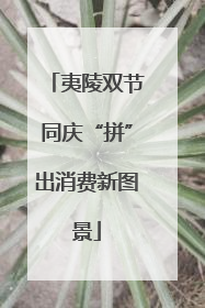夷陵双节同庆“拼”出消费新图景