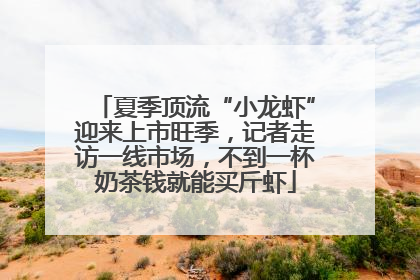 夏季顶流“小龙虾”迎来上市旺季，记者走访一线市场，不到一杯奶茶钱就能买斤虾