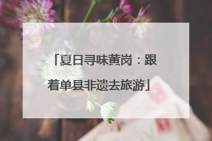 夏日寻味黄岗：跟着单县非遗去旅游