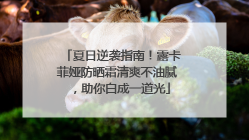 夏日逆袭指南！露卡菲娅防晒霜清爽不油腻，助你白成一道光