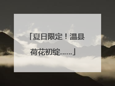 夏日限定！温县荷花初绽……