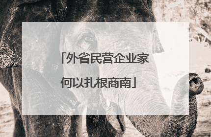 外省民营企业家何以扎根商南