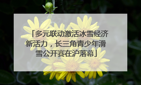 多元联动激活冰雪经济新活力，长三角青少年滑雪公开赛在沪落幕
