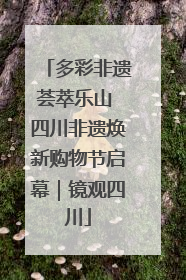 多彩非遗荟萃乐山 四川非遗焕新购物节启幕｜镜观四川
