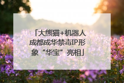 大熊猫+机器人 成都成华禁毒IP形象“华宝”亮相