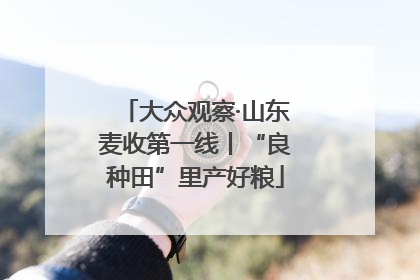 大众观察·山东麦收第一线丨“良种田”里产好粮