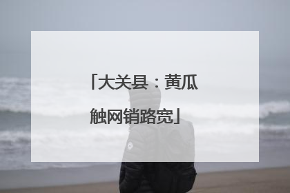大关县：黄瓜触网销路宽