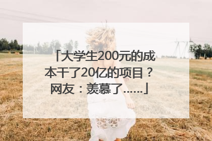 大学生200元的成本干了20亿的项目？网友：羡慕了……