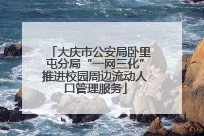 大庆市公安局卧里屯分局“一网三化”推进校园周边流动人口管理服务