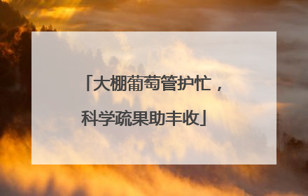 大棚葡萄管护忙，科学疏果助丰收