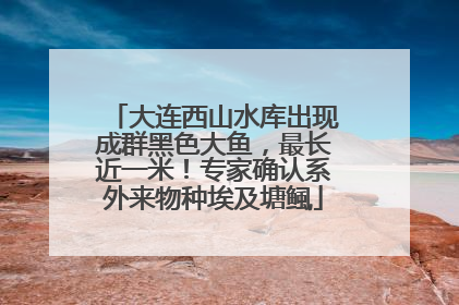 大连西山水库出现成群黑色大鱼，最长近一米！专家确认系外来物种埃及塘鲺