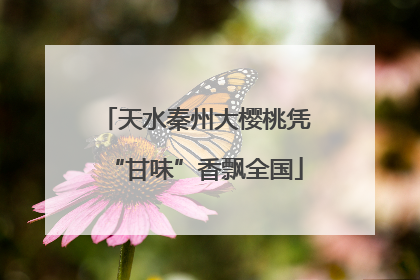 天水秦州大樱桃凭“甘味”香飘全国
