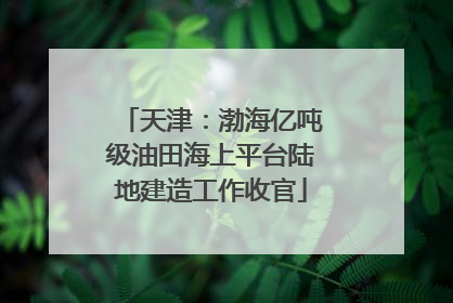 天津：渤海亿吨级油田海上平台陆地建造工作收官