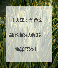 天津：蓝色金融多维发力赋能海洋经济