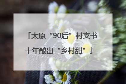 太原“90后”村支书十年酿出“乡村甜”