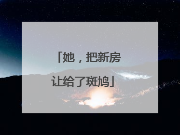 她，把新房让给了斑鸠