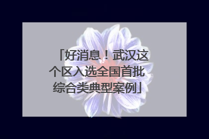 好消息！武汉这个区入选全国首批综合类典型案例