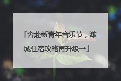 奔赴新青年音乐节，潍城住宿攻略再升级→