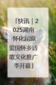 快讯｜2025湖南·怀化屈原爱国怀乡诗歌文化推广季开幕