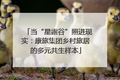 当“星露谷”照进现实：康旅集团乡村旅居的多元共生样本