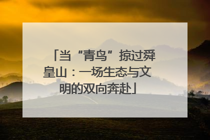 当“青鸟”掠过舜皇山：一场生态与文明的双向奔赴