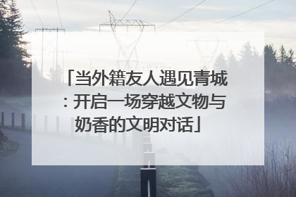 当外籍友人遇见青城：开启一场穿越文物与奶香的文明对话