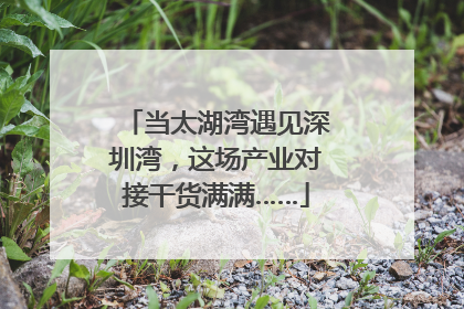当太湖湾遇见深圳湾，这场产业对接干货满满……