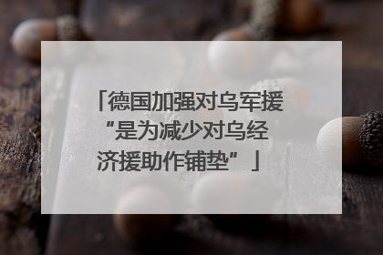 德国加强对乌军援 “是为减少对乌经济援助作铺垫”