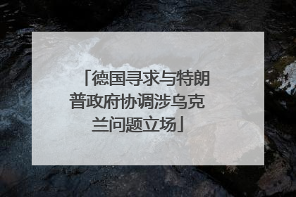 德国寻求与特朗普政府协调涉乌克兰问题立场
