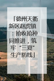 德州天衢新区赵虎镇：抢收抢种同推进，筑牢“三夏”生产防线