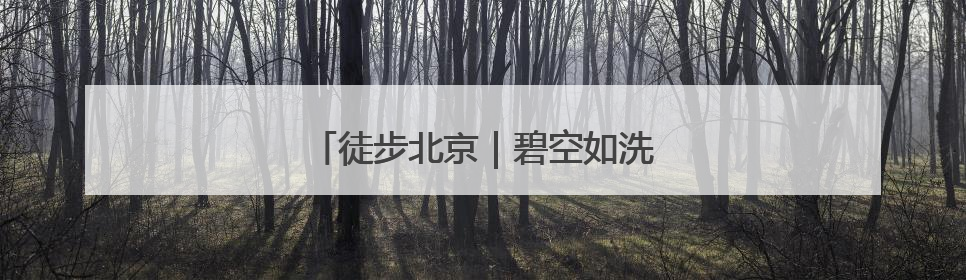 徒步北京｜碧空如洗，运河绿道行者如织