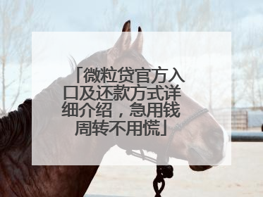 微粒贷官方入口及还款方式详细介绍，急用钱周转不用慌