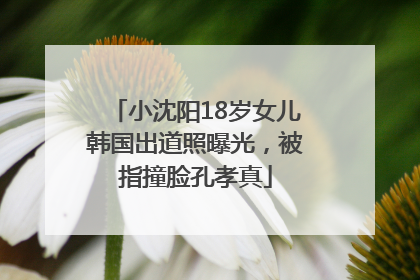 小沈阳18岁女儿韩国出道照曝光，被指撞脸孔孝真
