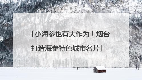 小海参也有大作为！烟台打造海参特色城市名片
